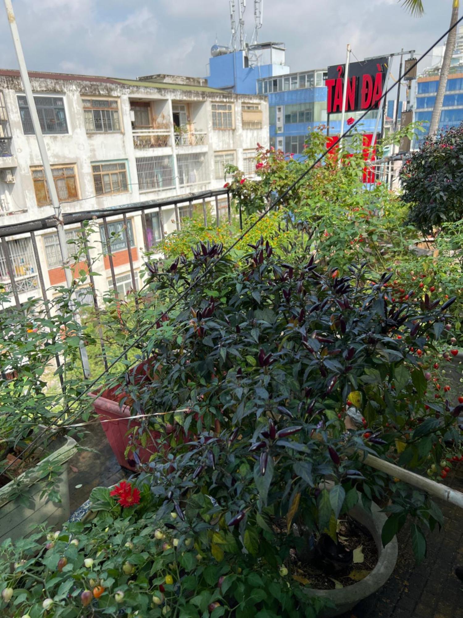 Tan Da Hotel TP. Hồ Chí Minh Ngoại thất bức ảnh
